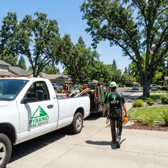Arborist Action truck arriving at a Jacksonville residential job