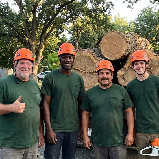 Arborist Action tree crew with a truck loaded with oak logs in Jacksonville
